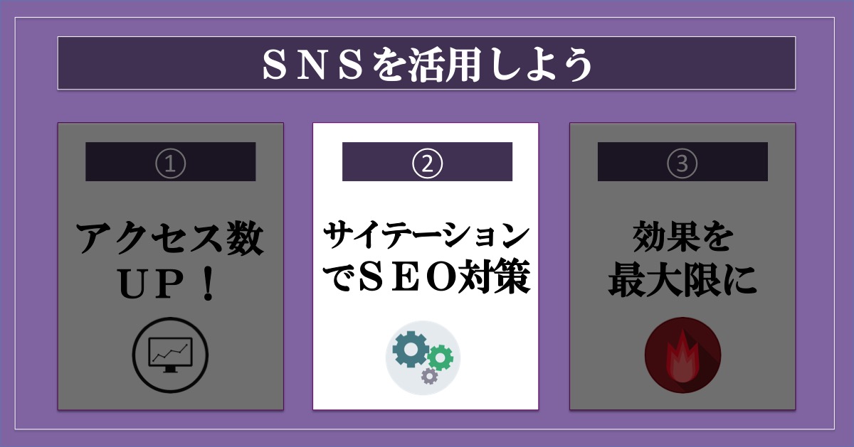 ブログのアクセス数を増やす方法SNS_サイテーション